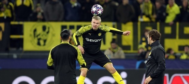 我们付出了 我们付出了