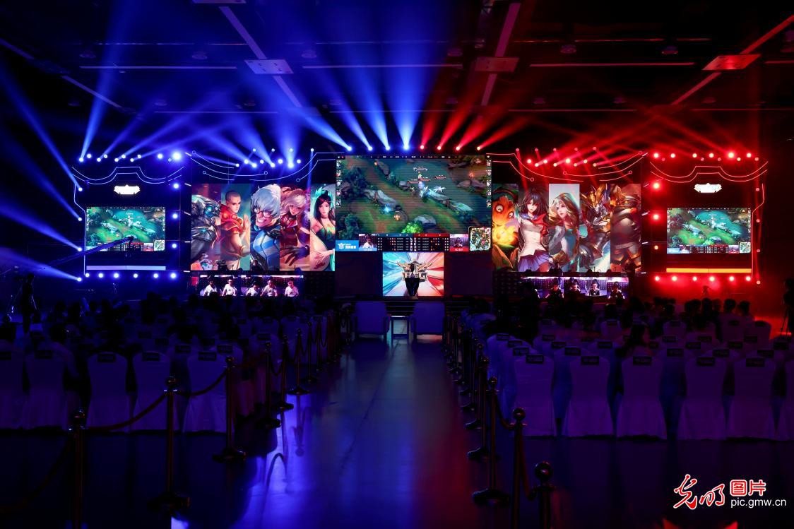 的球迷颇为 的球迷颇为