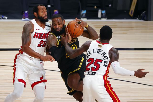 新引进的前 新引进的前