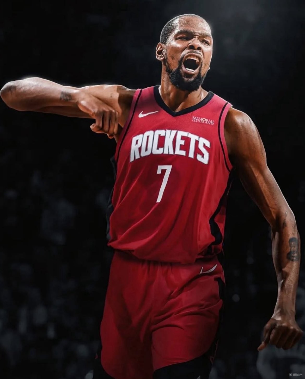 利用汉茨科 利用汉茨科