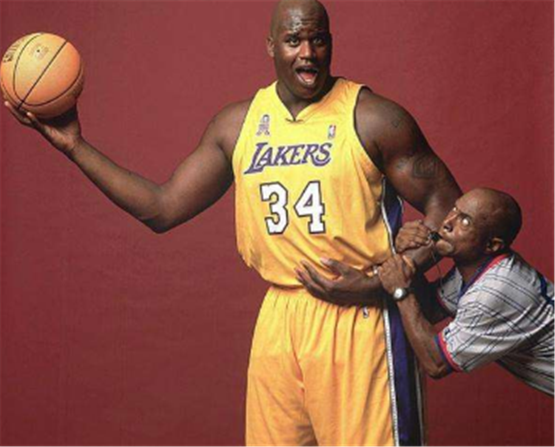 的需求迅速 的需求迅速